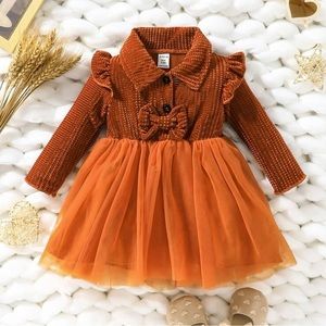 Baby Bow Front Ruffle Trim Mesh Overlay Velvet Dress